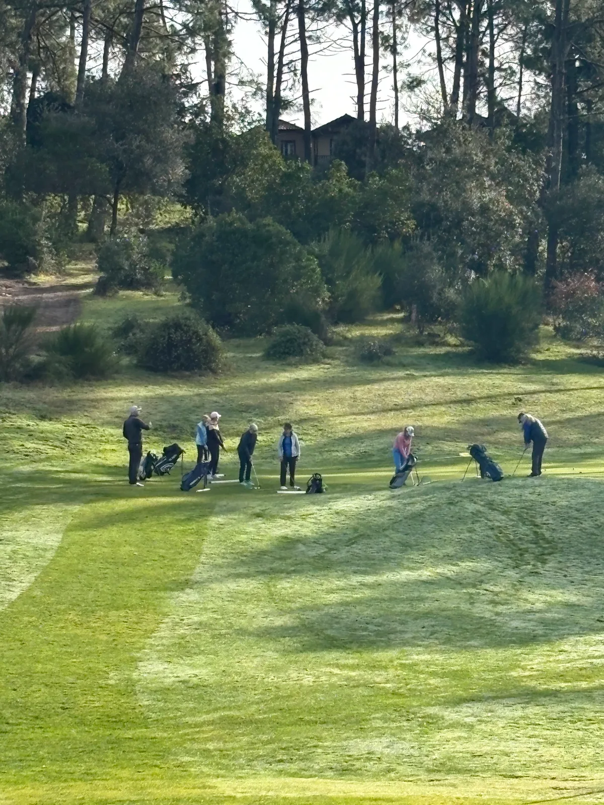 Formation Pitch & Putt Dames au Golf du Baganais